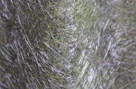 Oakhanger fibreglass roof work